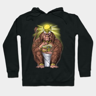 Ancient Egyptian Mythology Aani Hoodie